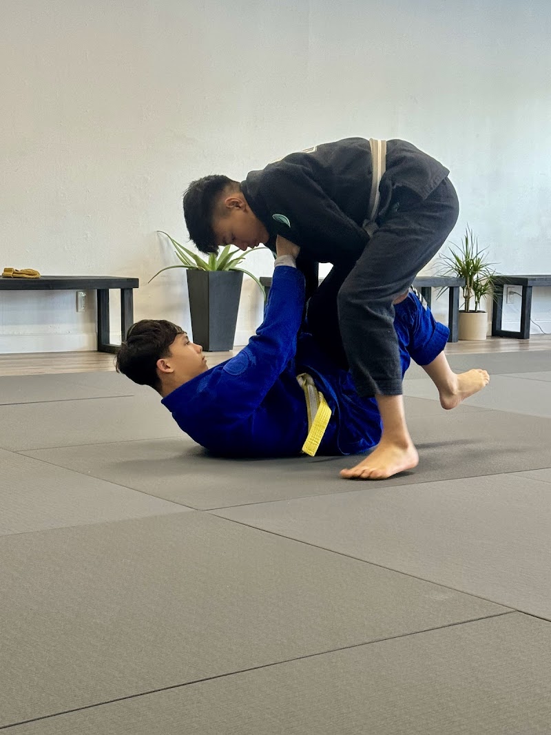 Mineiro Brazilian Jiu Jitsu - Alamo photo 4