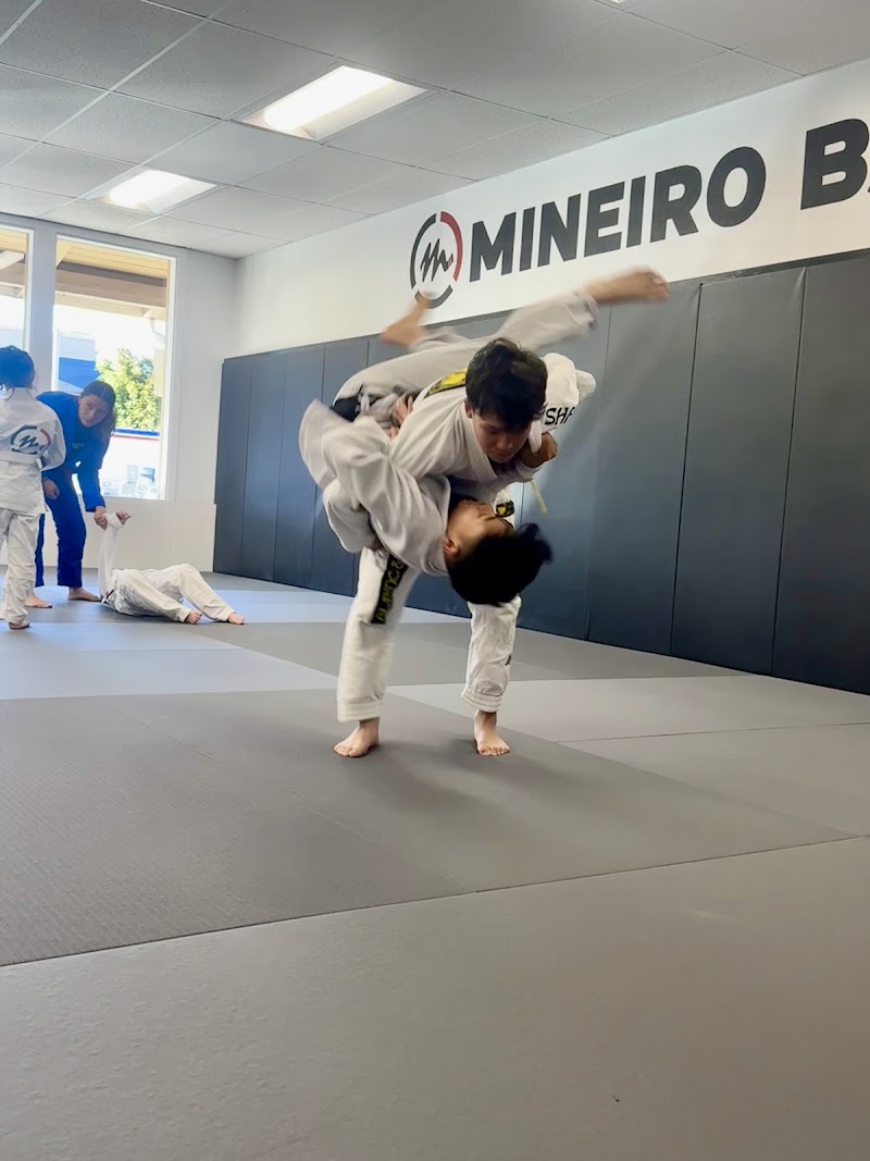 Mineiro Brazilian Jiu Jitsu - Alamo photo 2