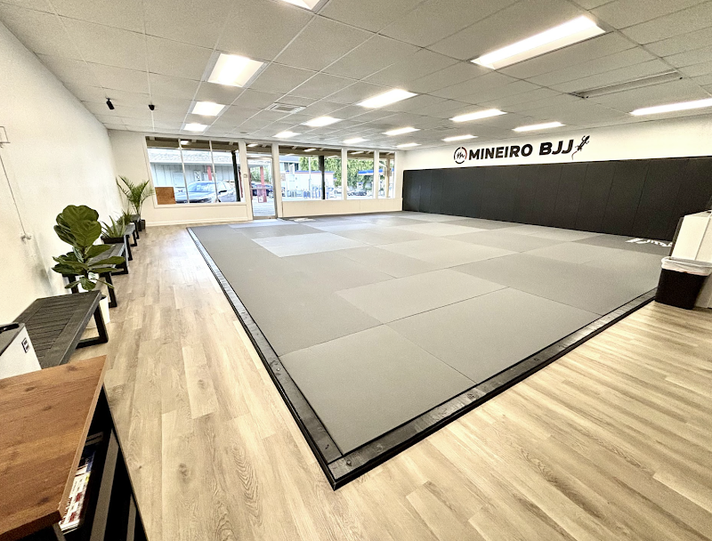 Mineiro Brazilian Jiu Jitsu - Alamo photo 3