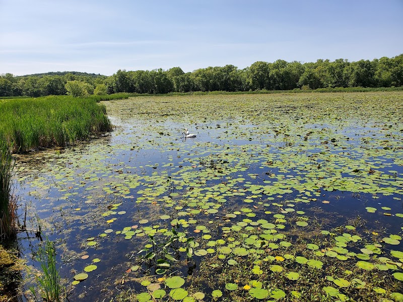 Great Meadows National Wildlife Refuge - Concord Unit photo 3