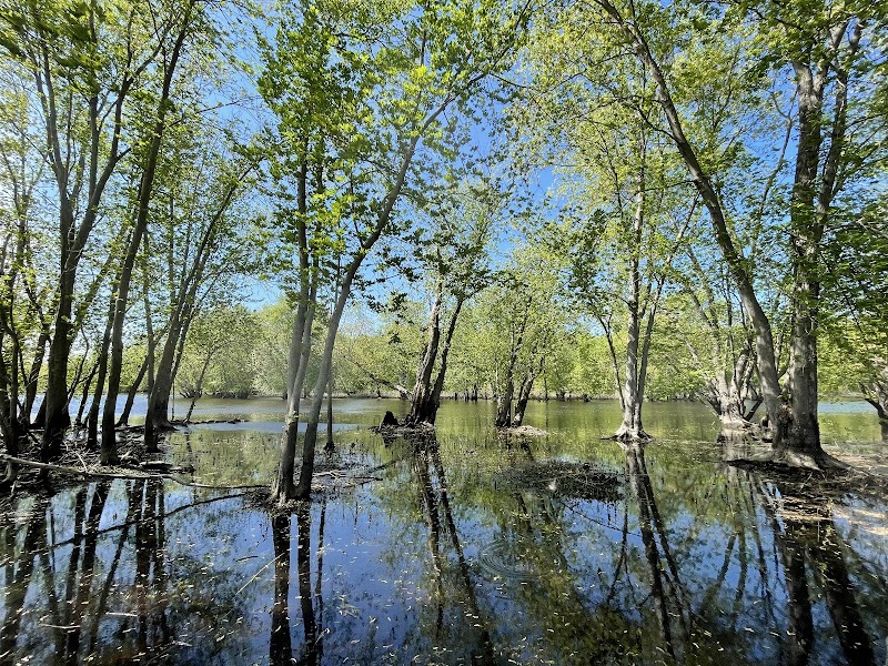 Great Meadows National Wildlife Refuge - Concord Unit photo 4