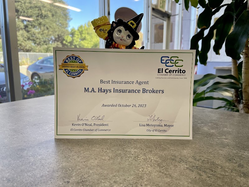 M.A. Hays Insurance Brokers photo 3