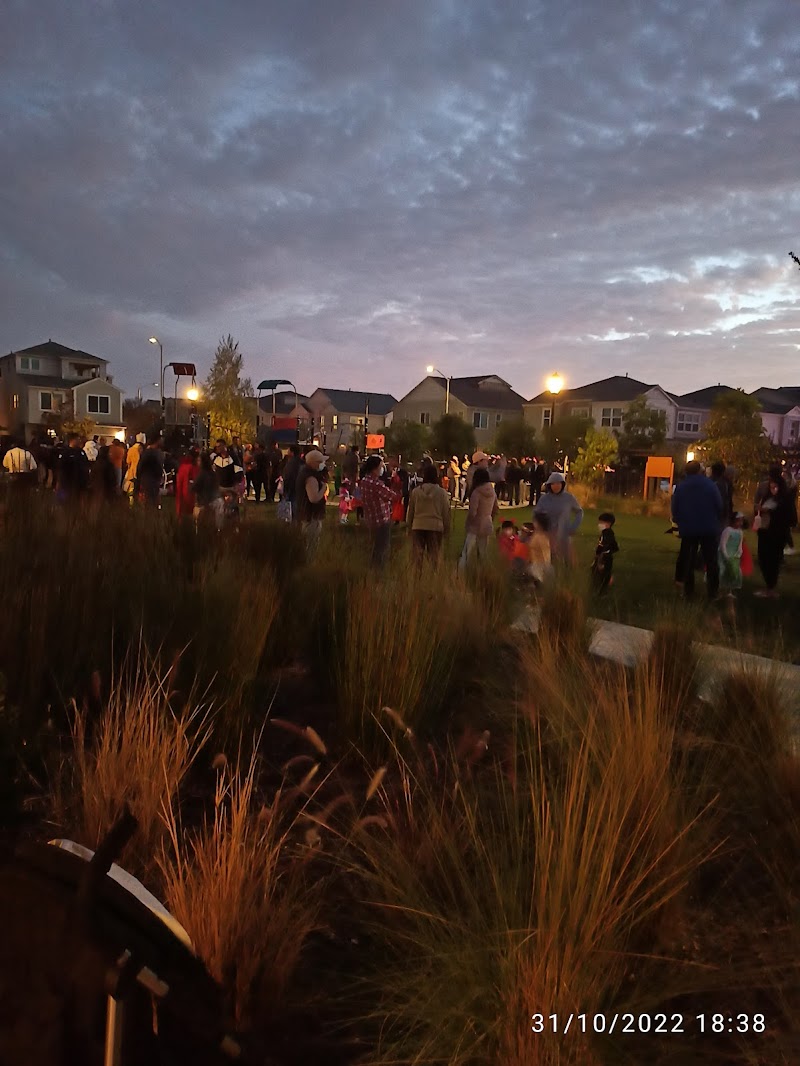 Bayshores Park photo 4