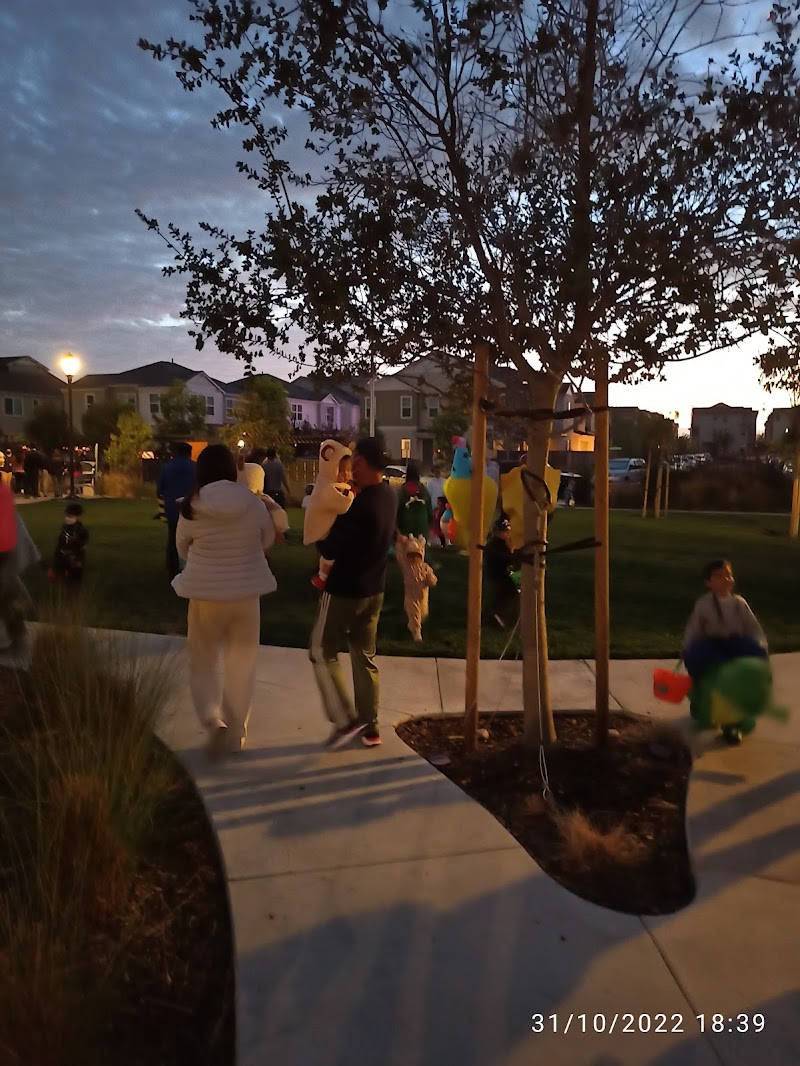 Bayshores Park photo 3