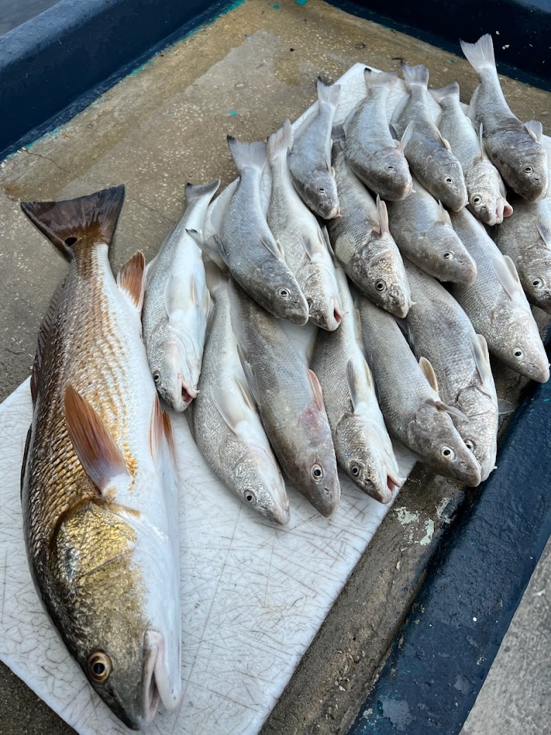 Chances R Fishing Charters, Tarpon Springs photo 3
