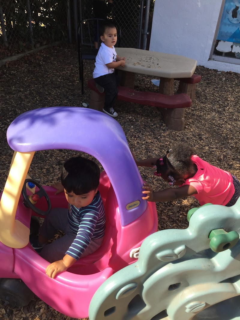 Step By Step Preschool, Inc photo 4