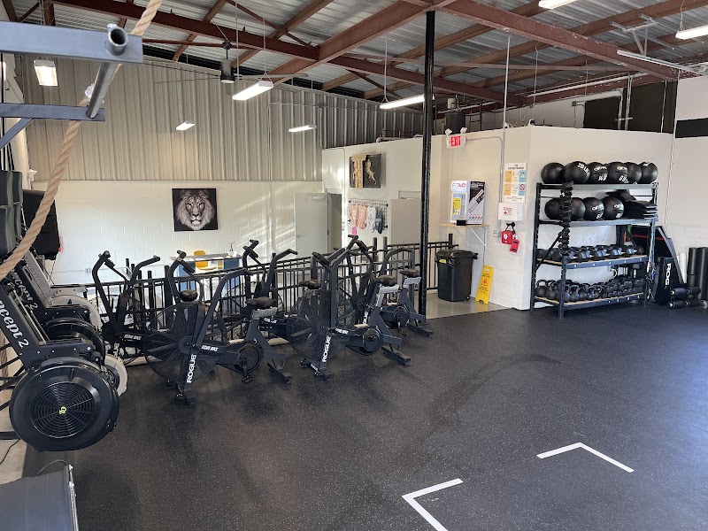 CrossFit HCP photo 3
