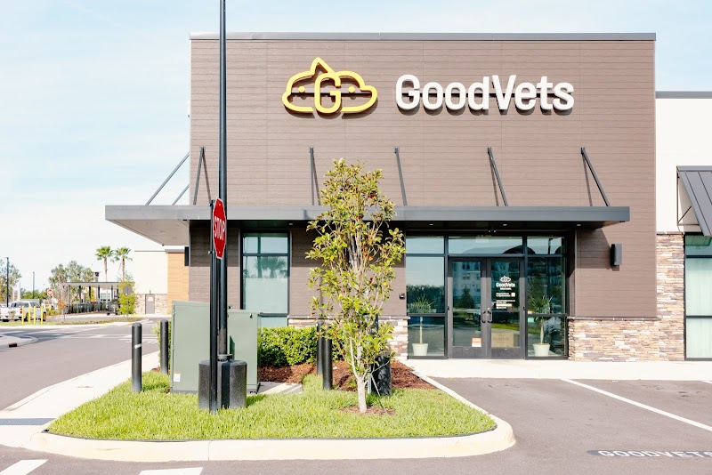 GoodVets Wesley Chapel photo 3