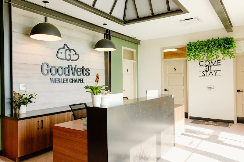 Photo of GoodVets Wesley Chapel