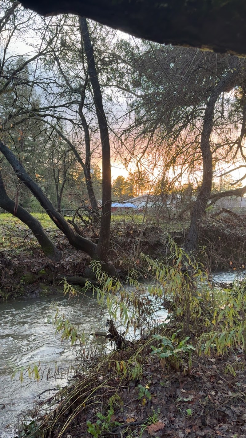 Photo of Nathanson Creek Bridge