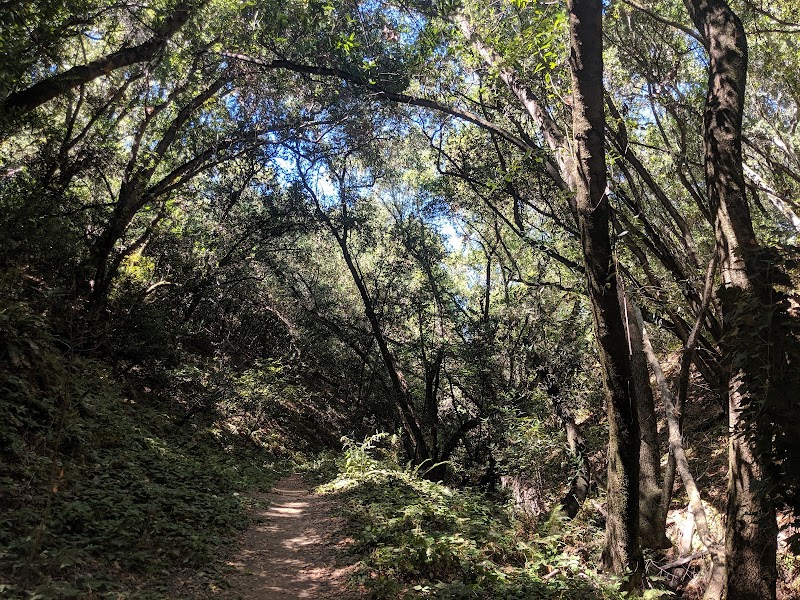 Five Canyons Open Space photo 4