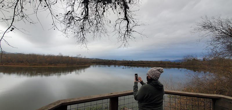 Riverfront Regional Park Picnic Area photo 5