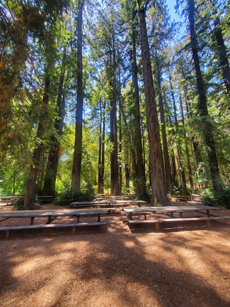 Riverfront Regional Park Picnic Area photo 2