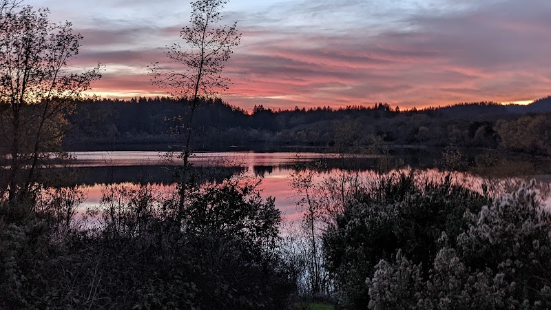 Riverfront Regional Park Picnic Area photo 4
