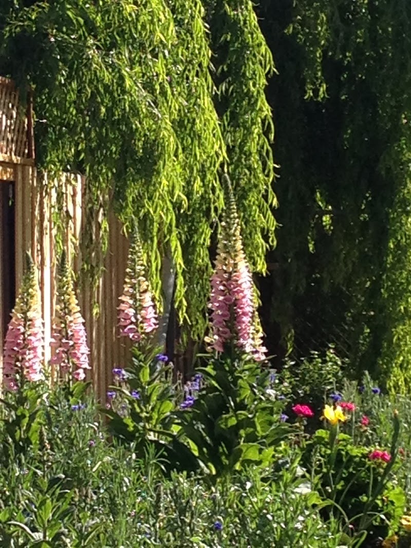 The Art School of Mulford Gardens photo 4