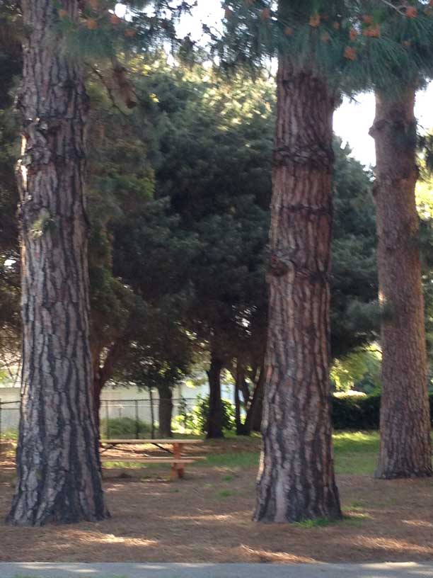 The Art School of Mulford Gardens photo 3