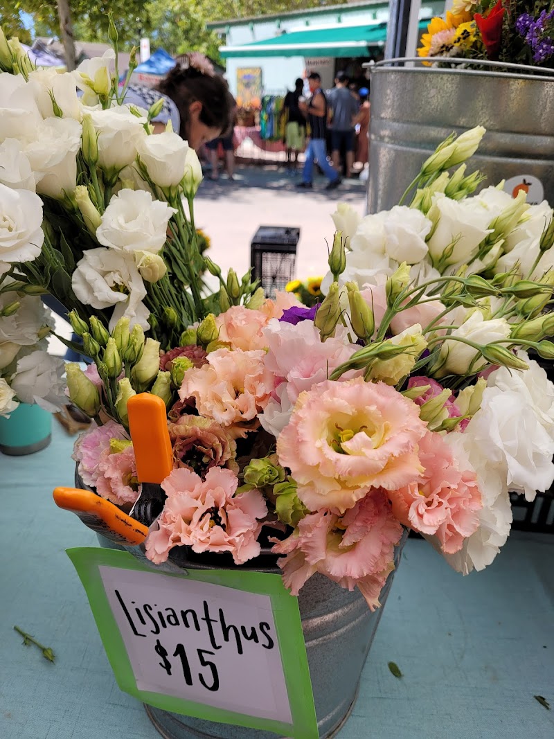 Davis Farmers Market photo 5