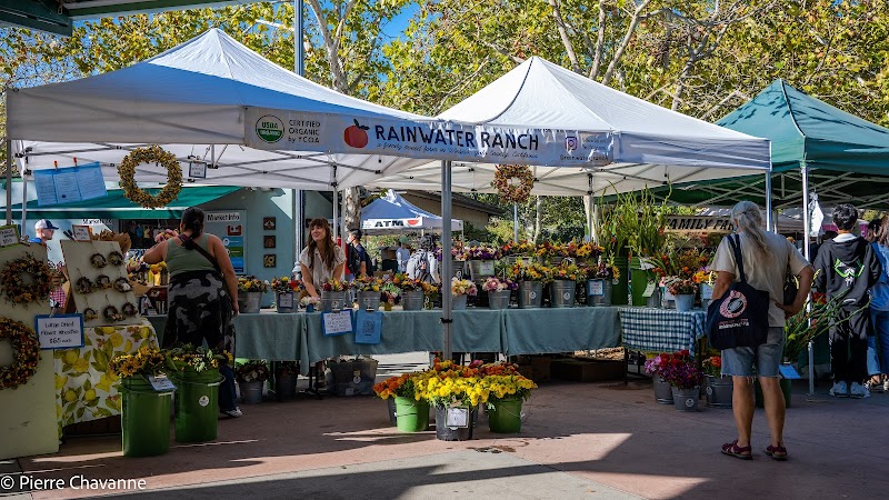 Photo of Davis Farmers Market