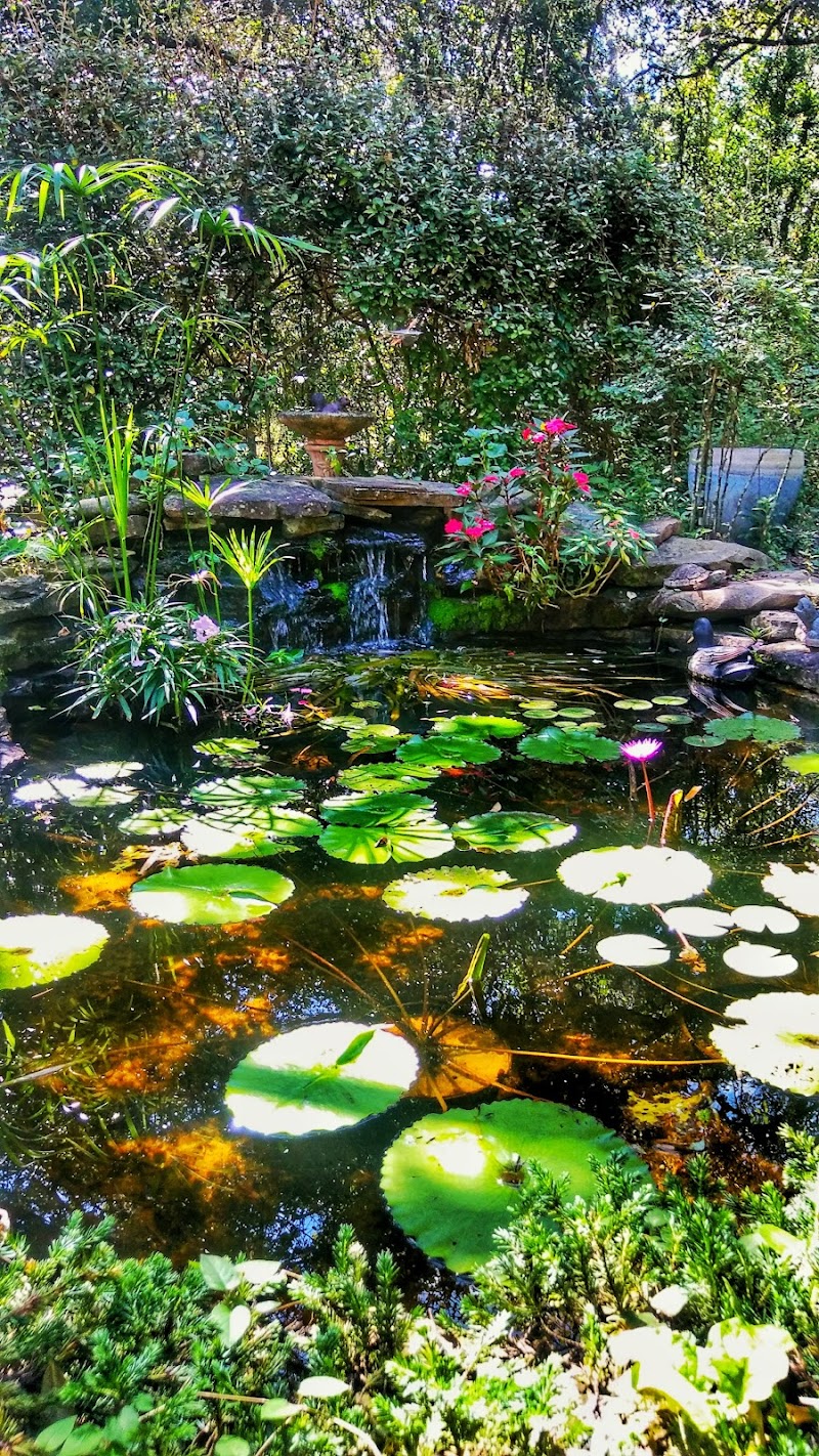 Suncoast Water Gardens photo 2