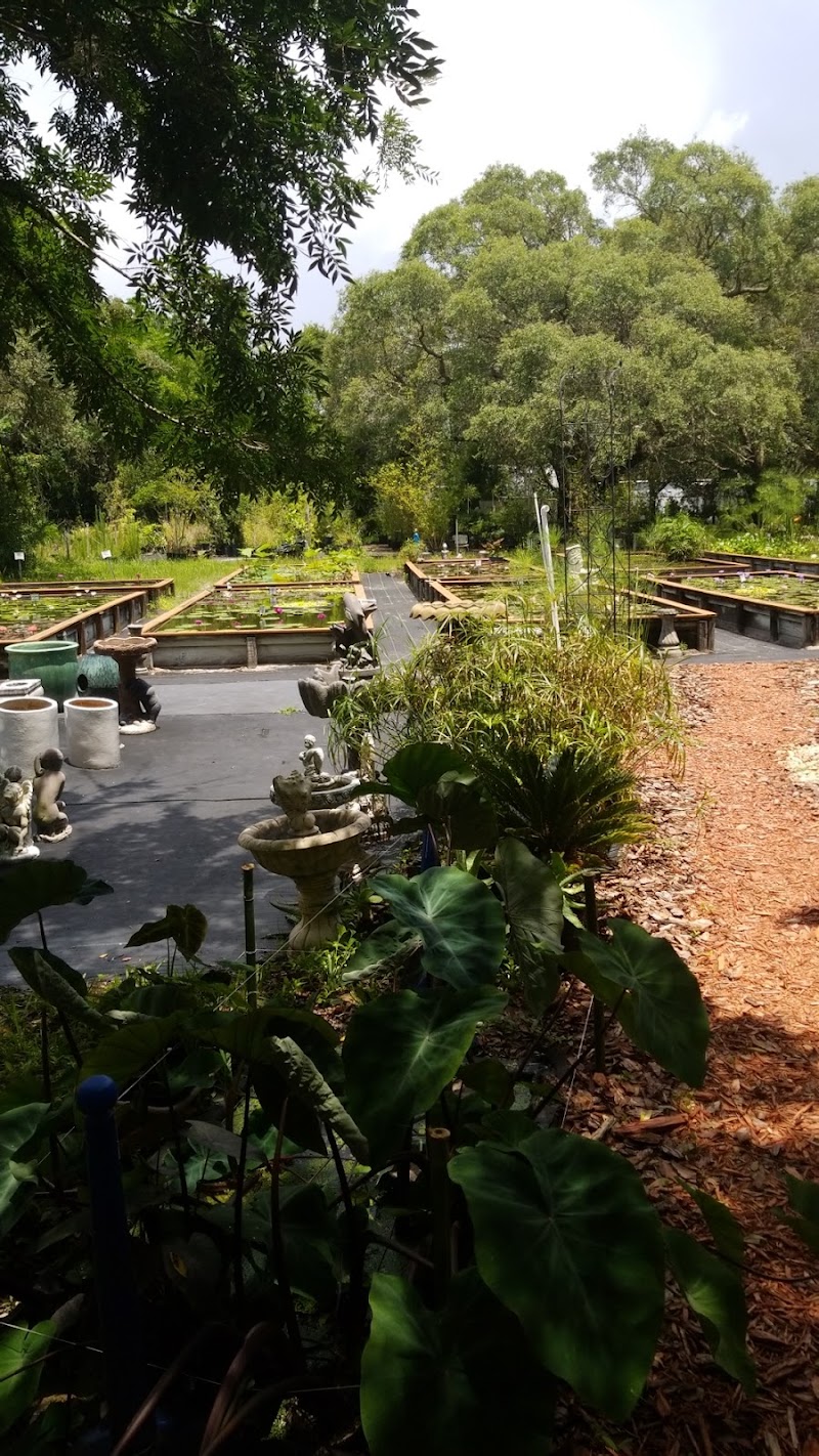 Suncoast Water Gardens photo 4
