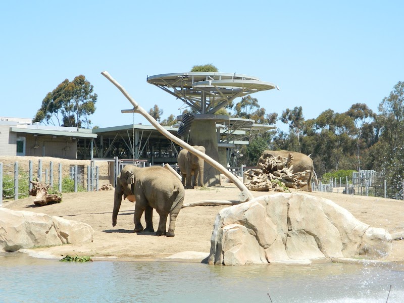 San Diego Zoo photo 4