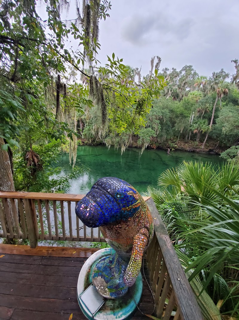Blue Spring State Park photo 4