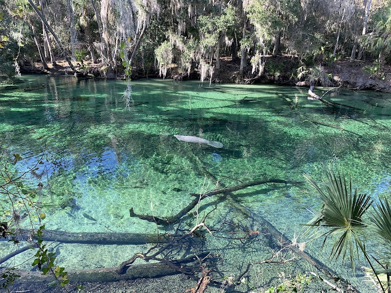 Photo of Blue Spring State Park