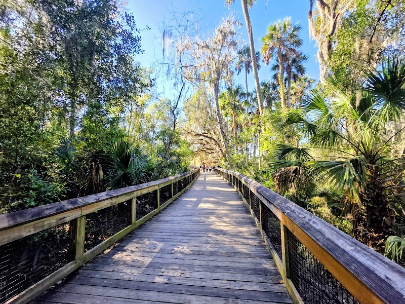 Blue Spring State Park photo 3
