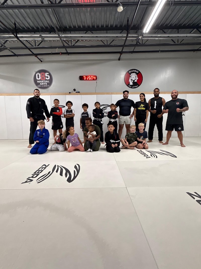 085 Martial Arts & Brazilian Jiu Jitsu photo 4