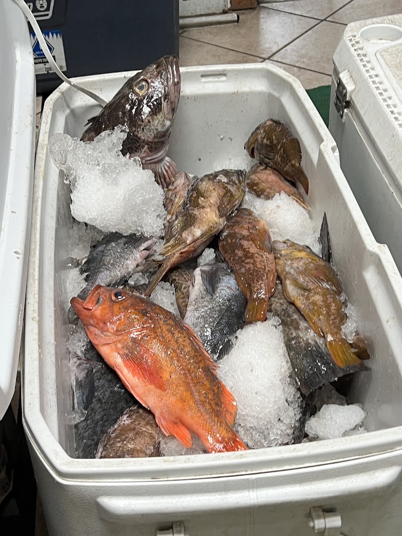 Four Seasons Int’l Seafood 四季生鮮 photo 5