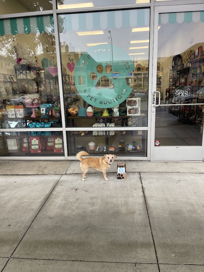 Photo of Paw Patch Pastries & Pet Boutique