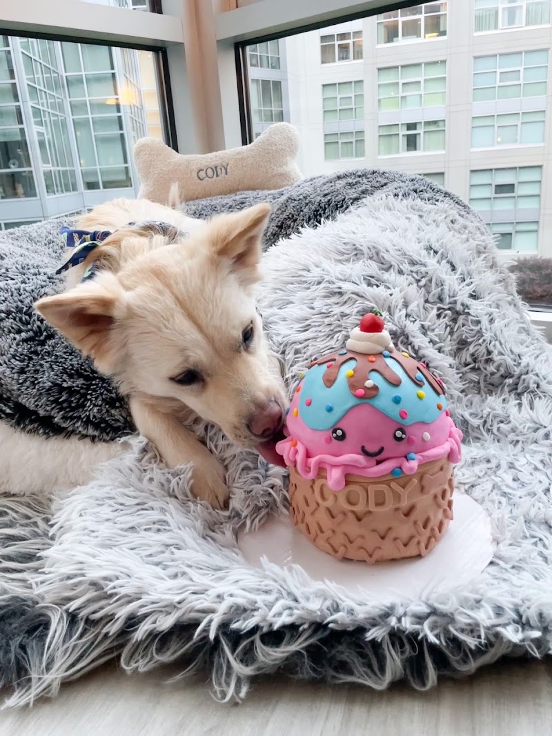 Paw Patch Pastries & Pet Boutique photo 3