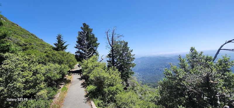 Mill Valley Observation Point photo 5