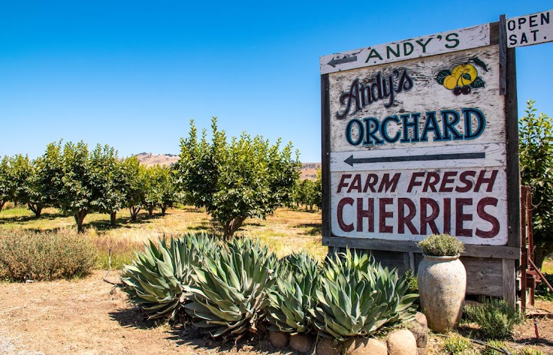 Photo of Andy's Orchard