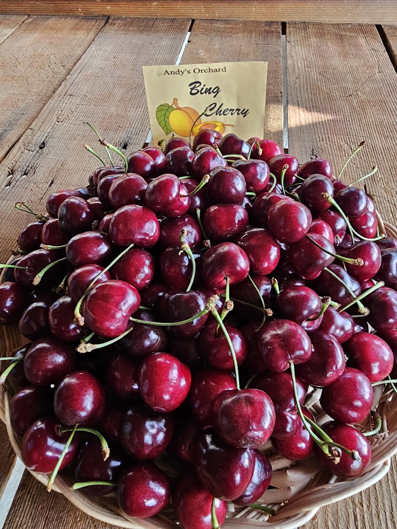 Andy's Orchard photo 5