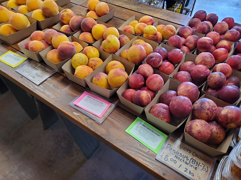 Andy's Orchard photo 2