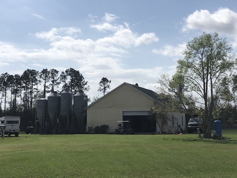 HertaBerkSchwein Farms photo 2