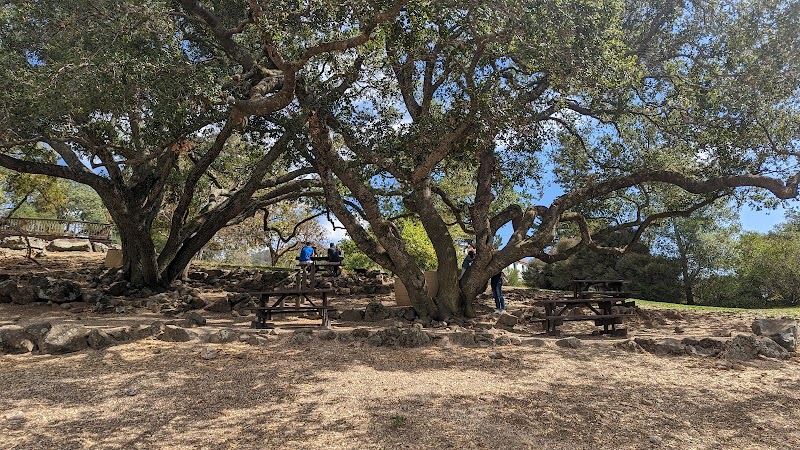 Antonia's Garden Picnic Area photo 2