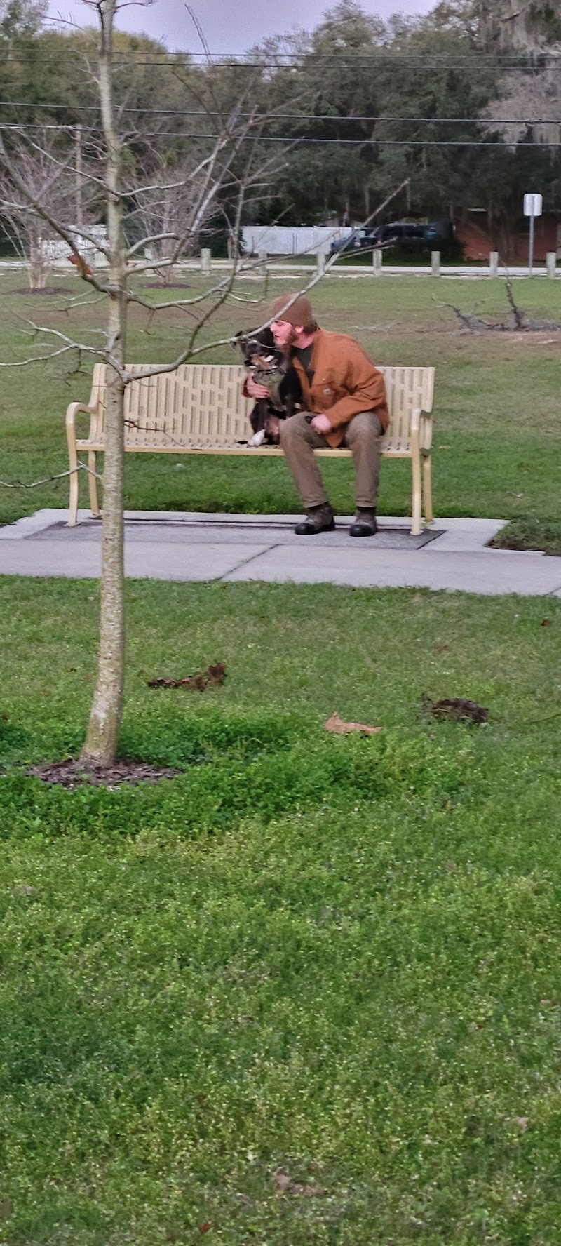 Seffner-Mango Park photo 5