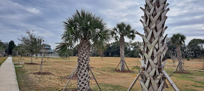Seffner-Mango Park photo 4
