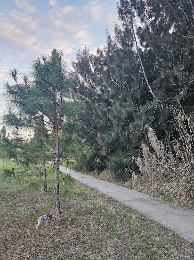 Seffner-Mango Park photo 3