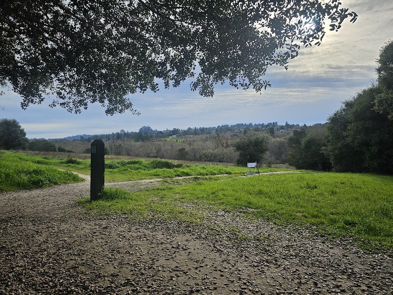 Photo of Sebastopol Peace Garden