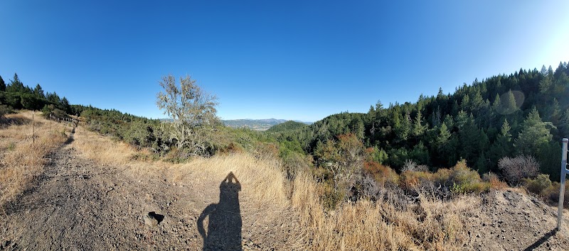Clover Springs Preserve photo 3