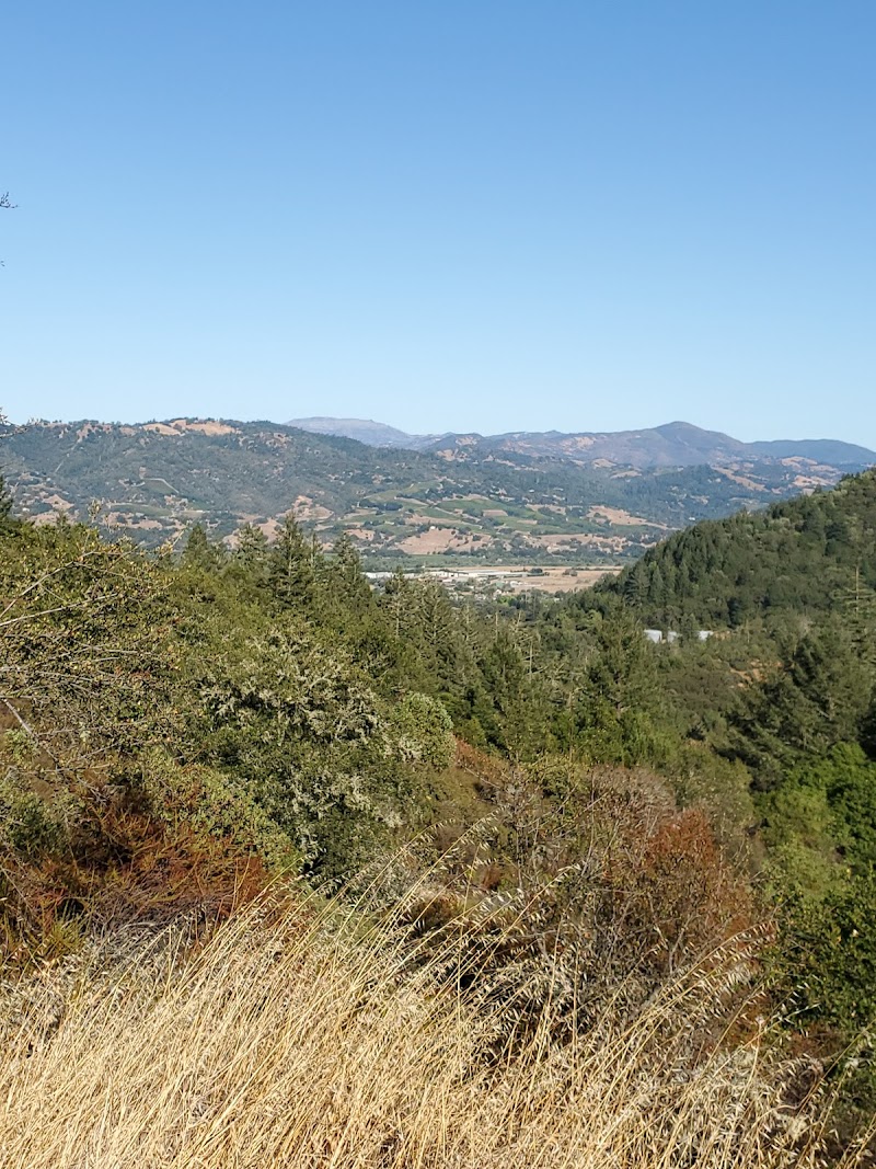 Clover Springs Preserve photo 5