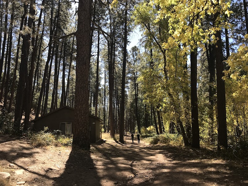 LoMia Recreation Camp photo 4