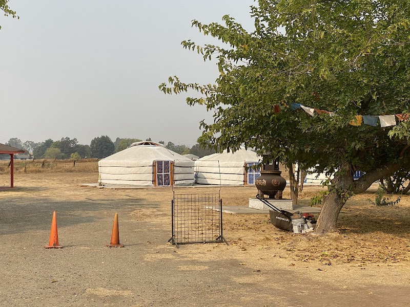 Zanabazar Dharma Center photo 3