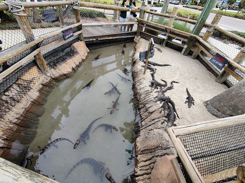 Congo River Golf photo 3
