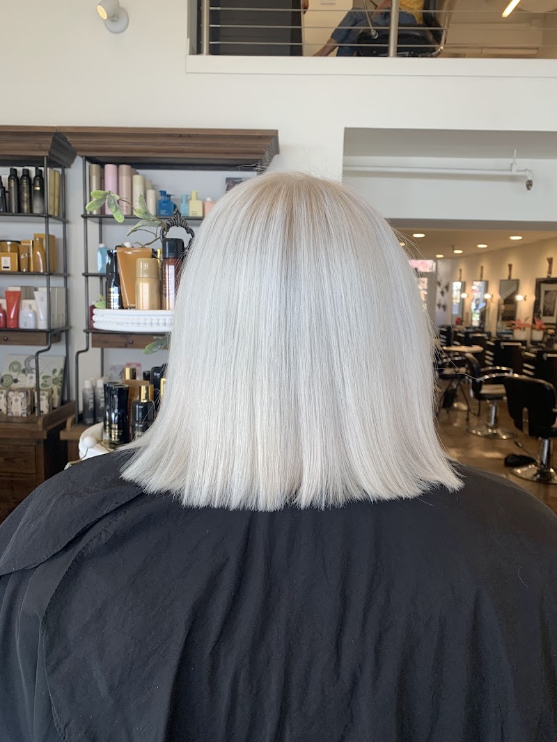 Lotus Crown Salon photo 5