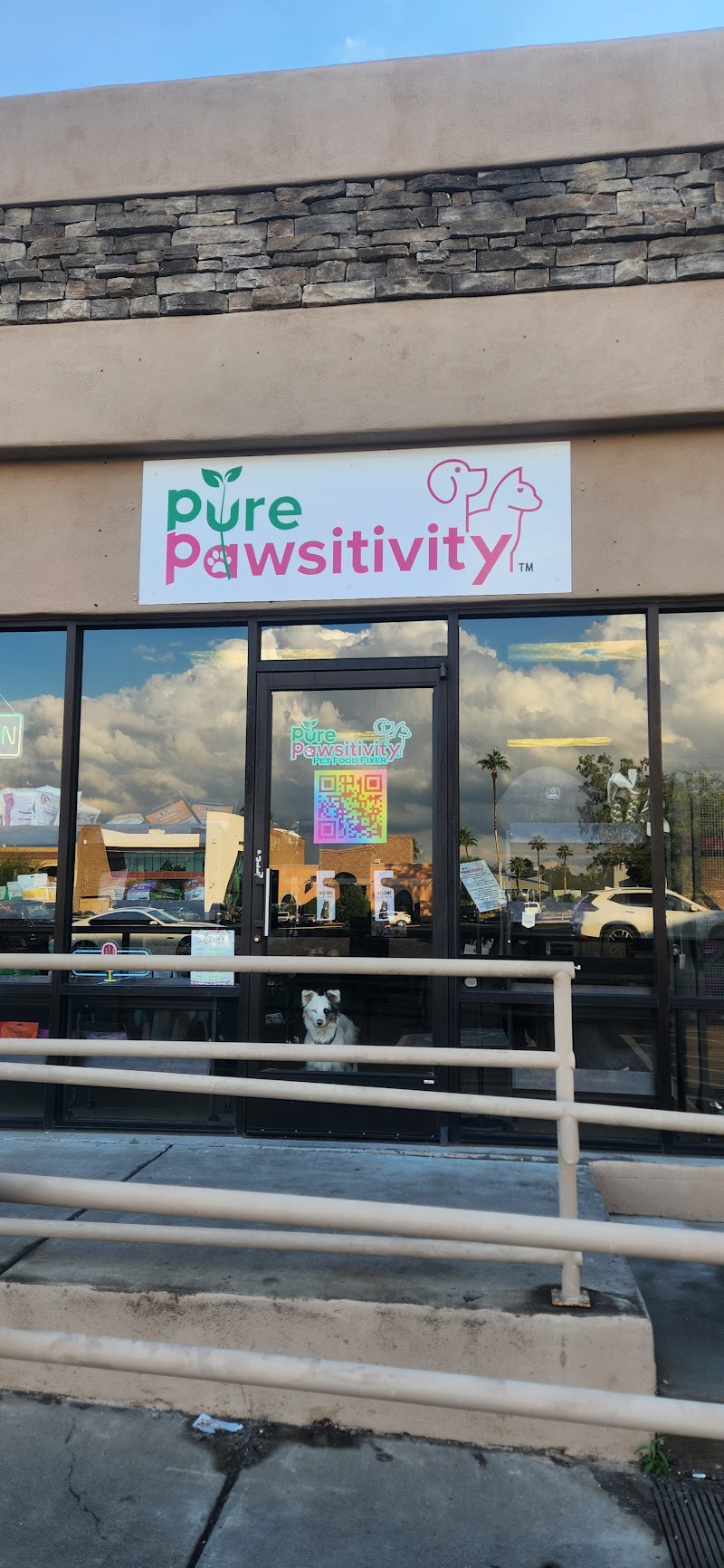 Photo of Pure Pawsitivity™️