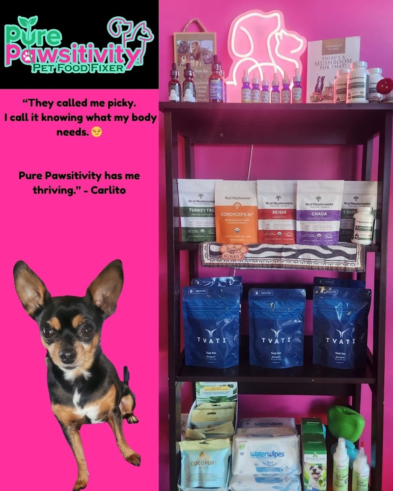 Pure Pawsitivity™️ photo 3